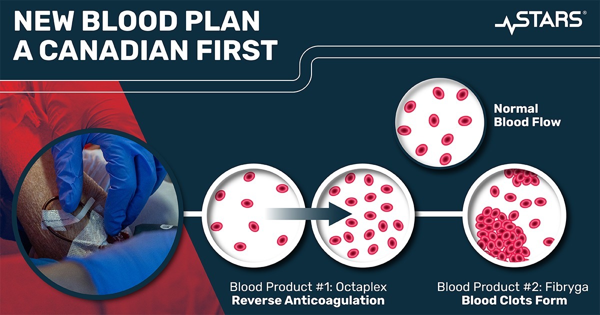 An illustration showing how the new blood protocol products work to slow bleeding.