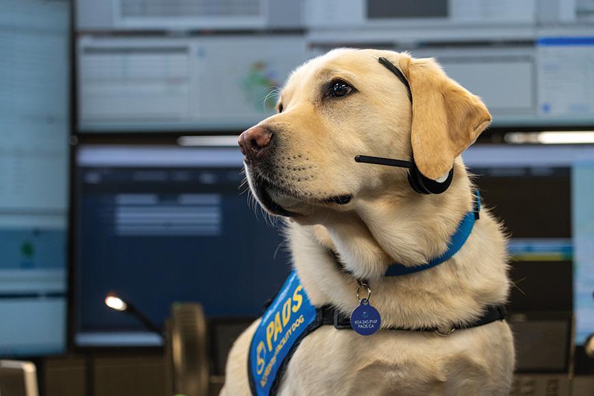 Orion poses while wearing a phone headset during a visit to the STARS Emergency Link Centre at the Calgary base.